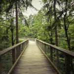 pexels-markusspiske-117843