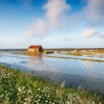 Straty wody w wyniku wibracji i drgań: mało znana przyczyna awarii w budynkach i zakładach przemysłowych